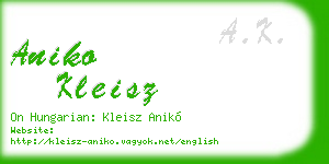 aniko kleisz business card